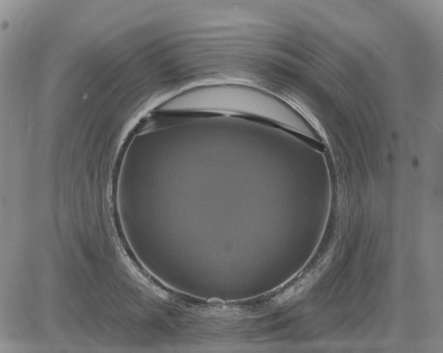 X0000084020797200703022055