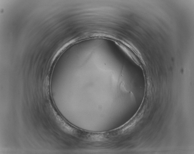 X0000084020798200703022055