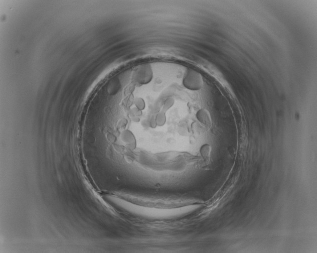 X0000084020799200703022055