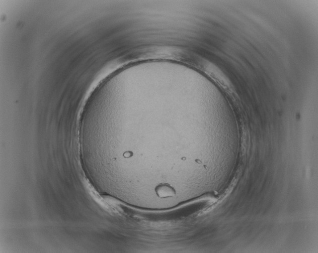 X0000084020800200703022055