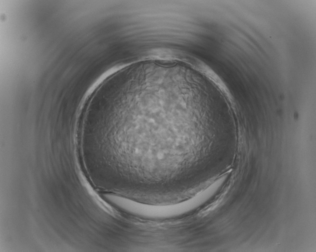 X0000084020803200703022055