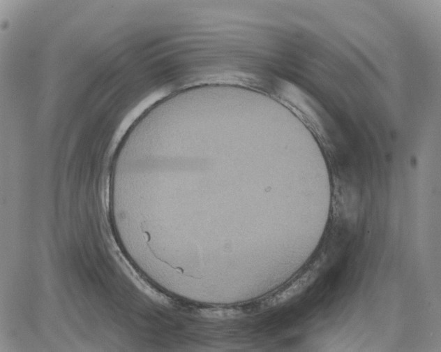 X0000084020804200703022055