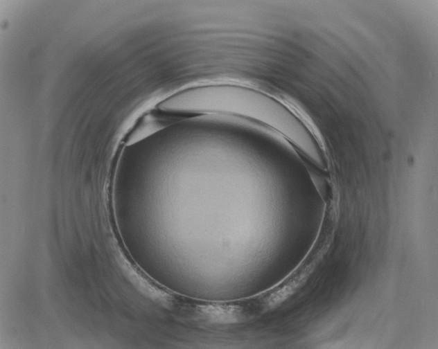 X0000084020805200703022055