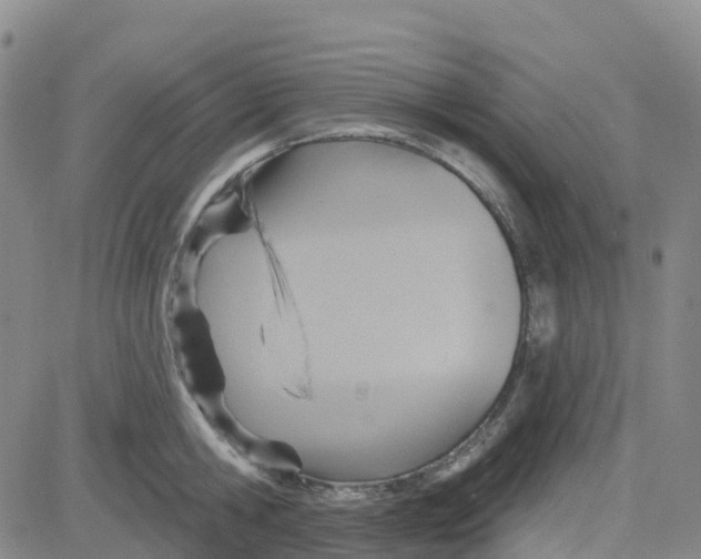 X0000084020806200703022055