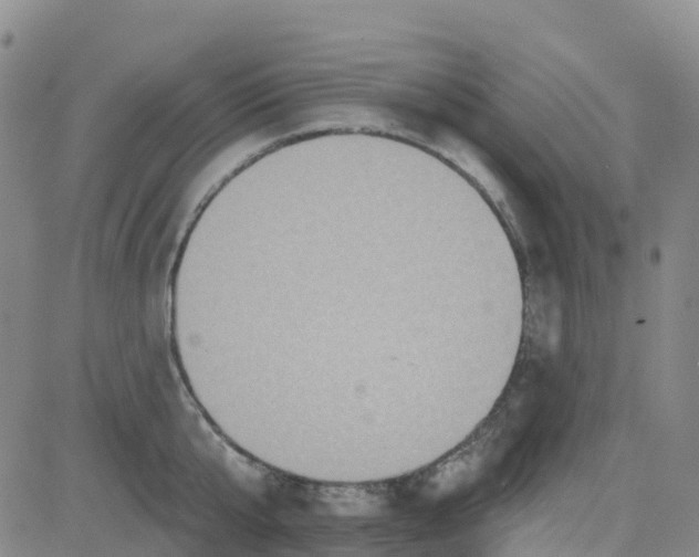 X0000084020807200703022055