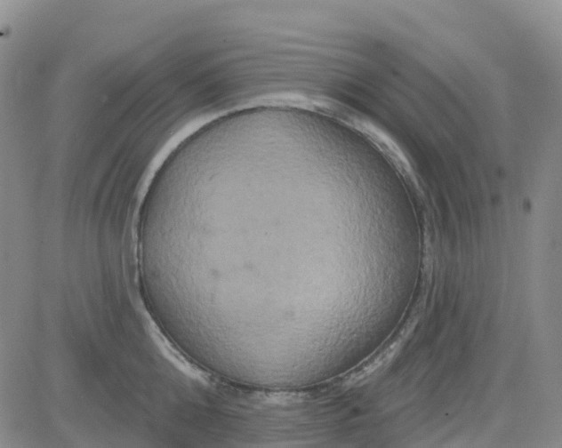 X0000084020808200703022055