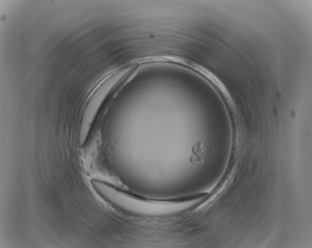 X0000084020809200703022055