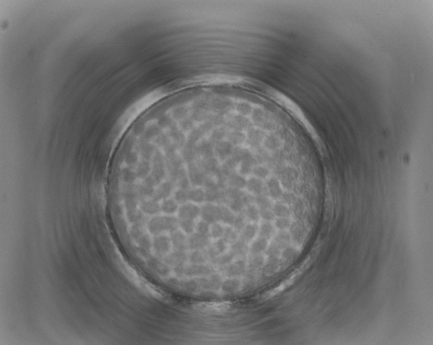 X0000084020810200703022055