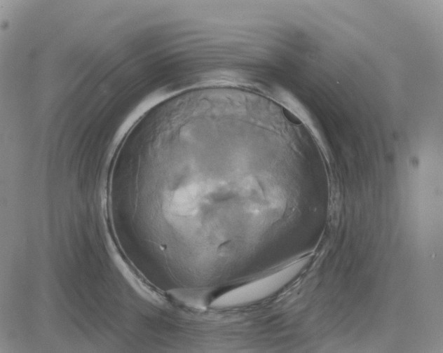 X0000084020811200703022055