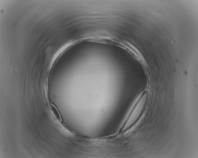 X0000084020812200703022055