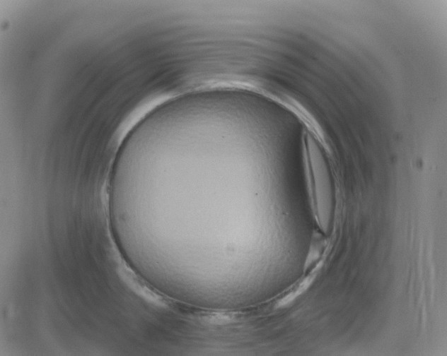 X0000084020814200703022055