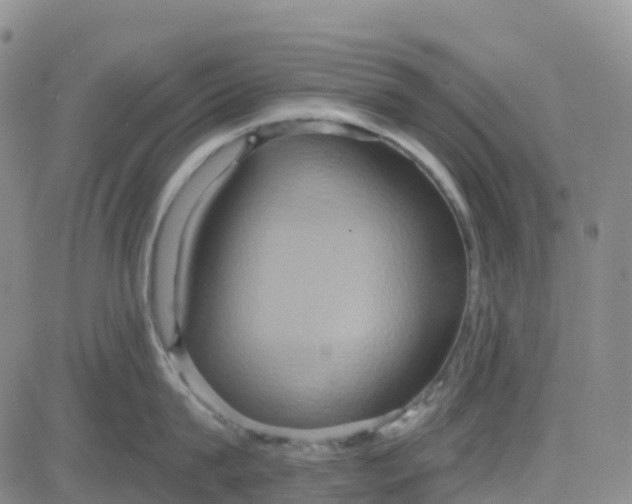 X0000084020815200703022055