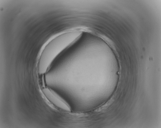 X0000084020816200703022055