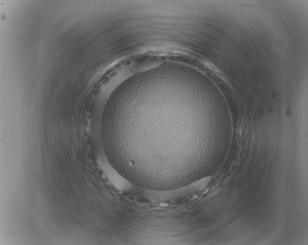 X0000084020822200703022054