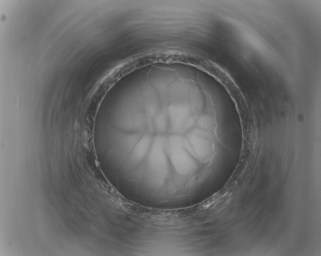 X0000084020823200703022054