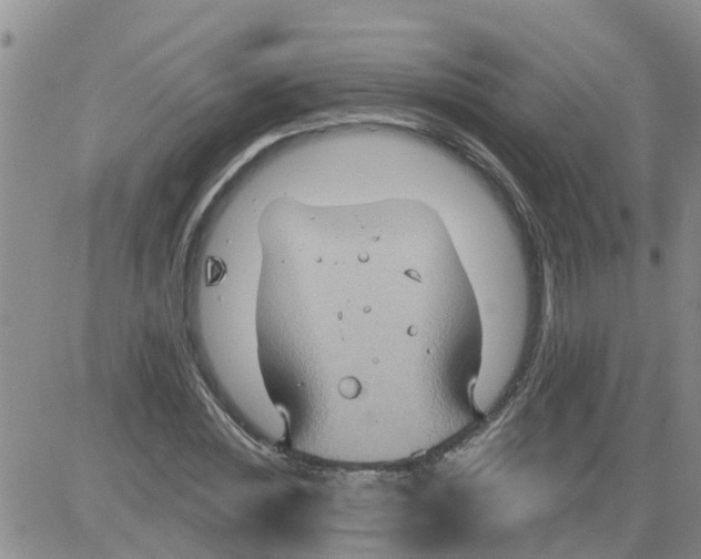 X0000084020828200703022055