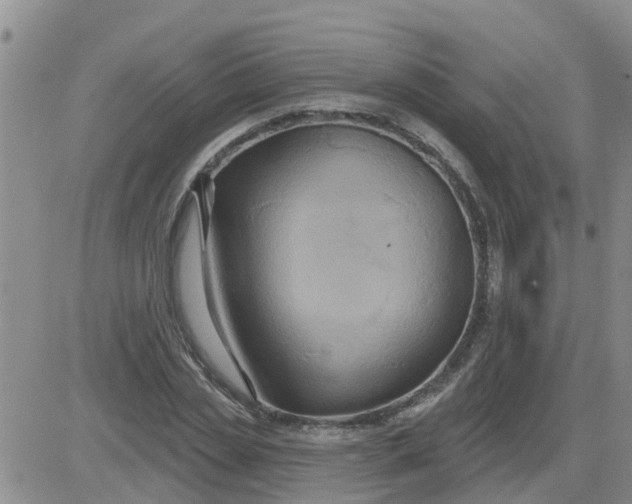 X0000084020829200703022055