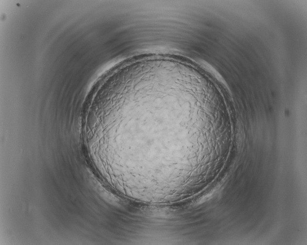 X0000084020831200703022055