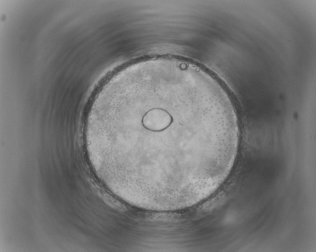 X0000084020832200703022055