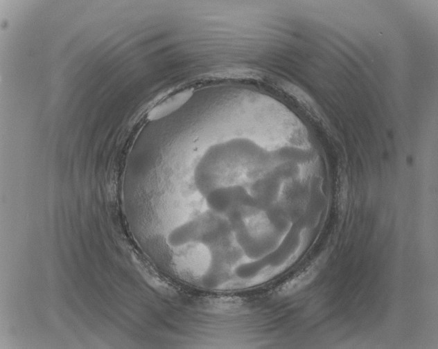 X0000084020833200703022055