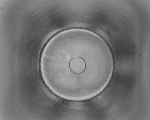 X0000084020836200703022055