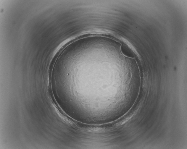 X0000084020837200703022055