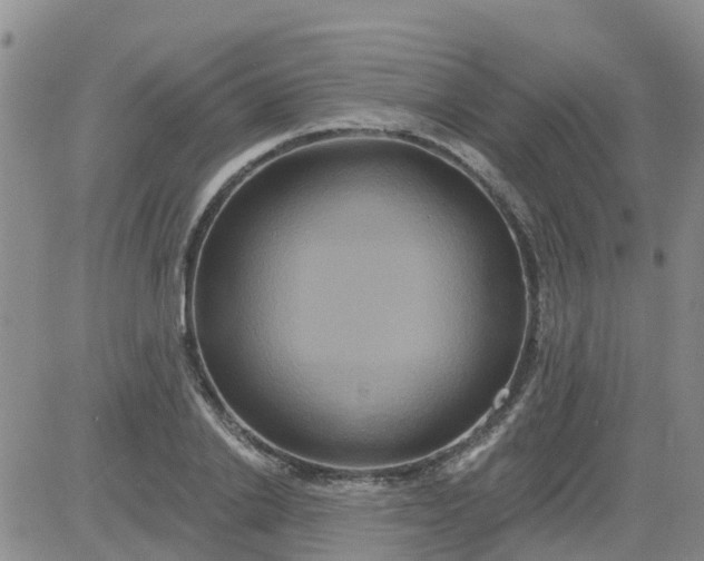 X0000084020838200703022055