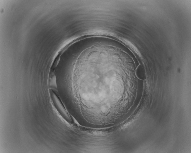 X0000084020839200703022055