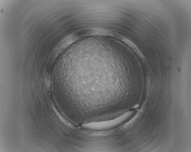 X0000084020841200703022055