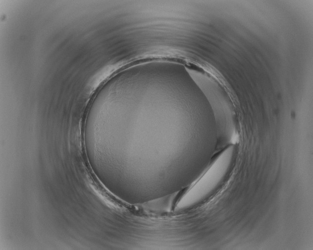 X0000084020842200703022055