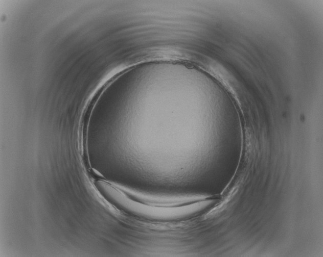 X0000084020843200703022055