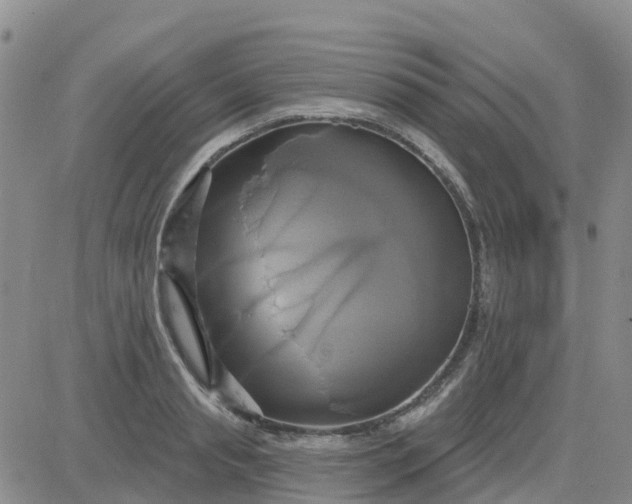 X0000084020845200703022055