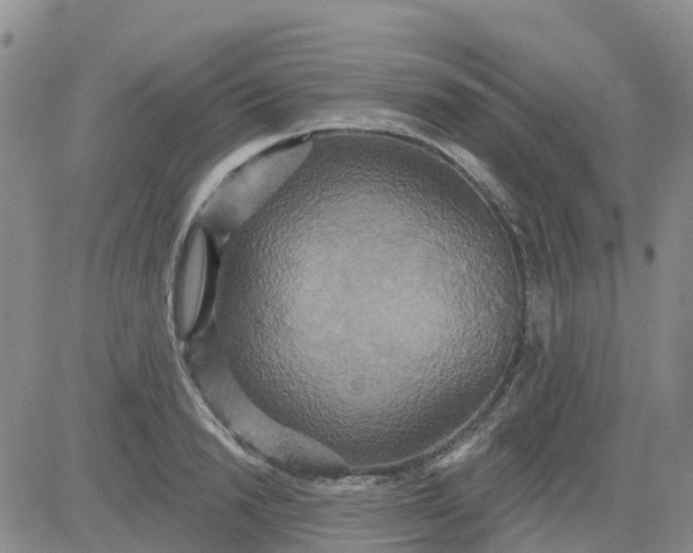 X0000084020846200703022055