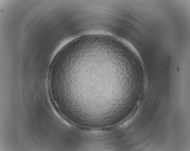 X0000084020847200703022055