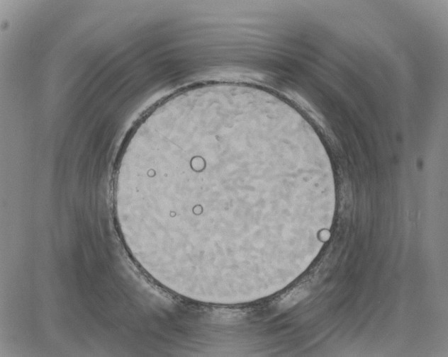 X0000084020848200703022055