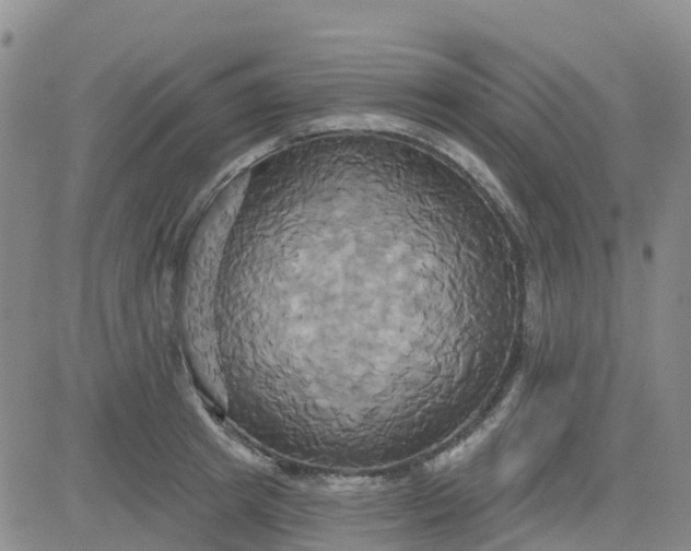 X0000084020849200703022055