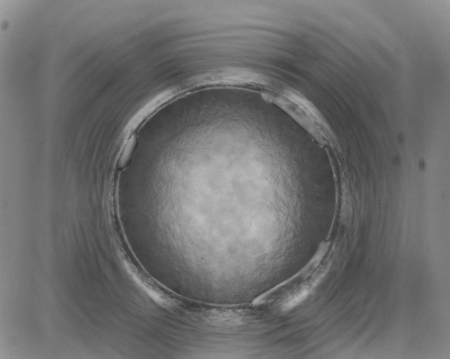 X0000084020850200703022055