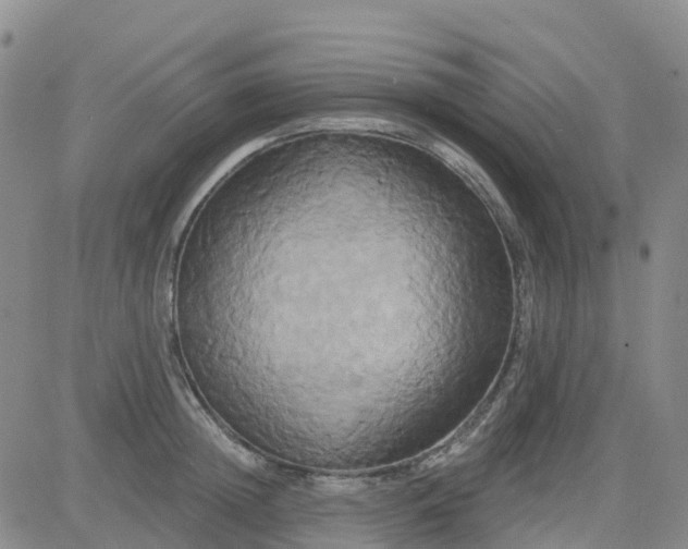 X0000084020852200703022055