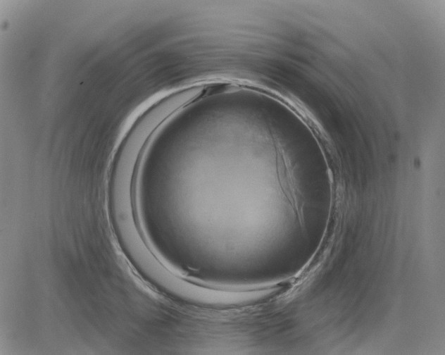 X0000084020854200703022055