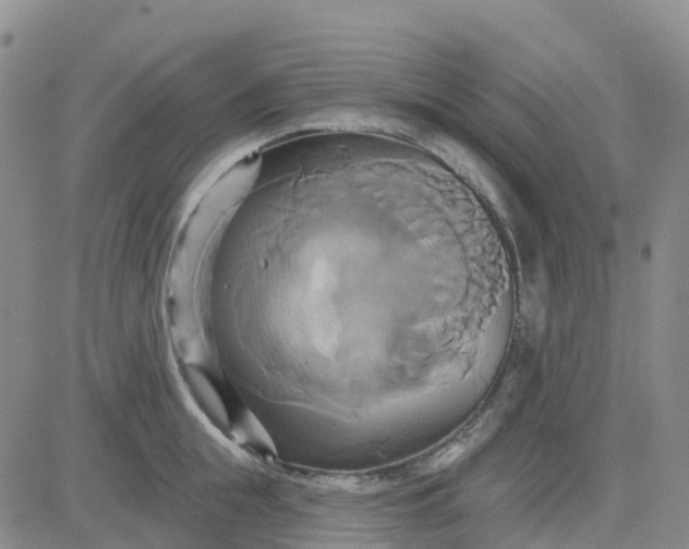 X0000084020855200703022055