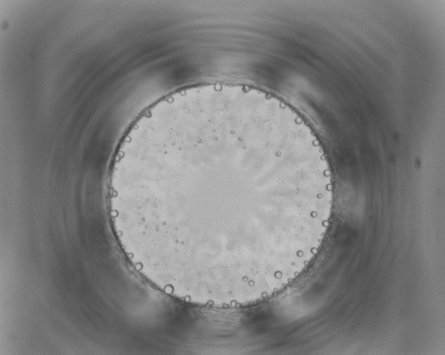 X0000084020856200703022055