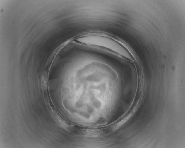 X0000084020857200703022055