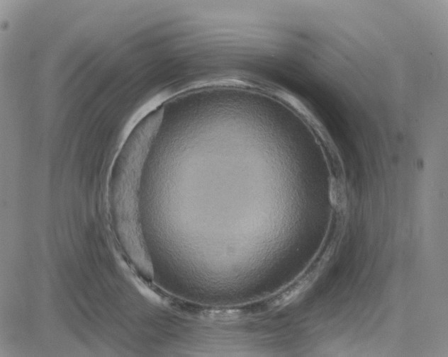 X0000084020858200703022055