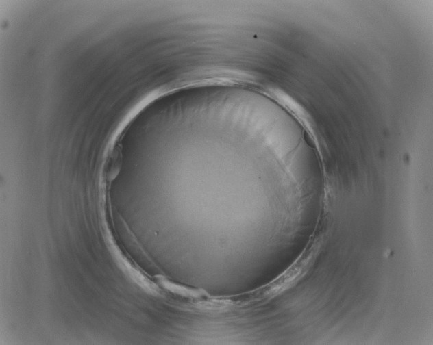 X0000084020859200703022055