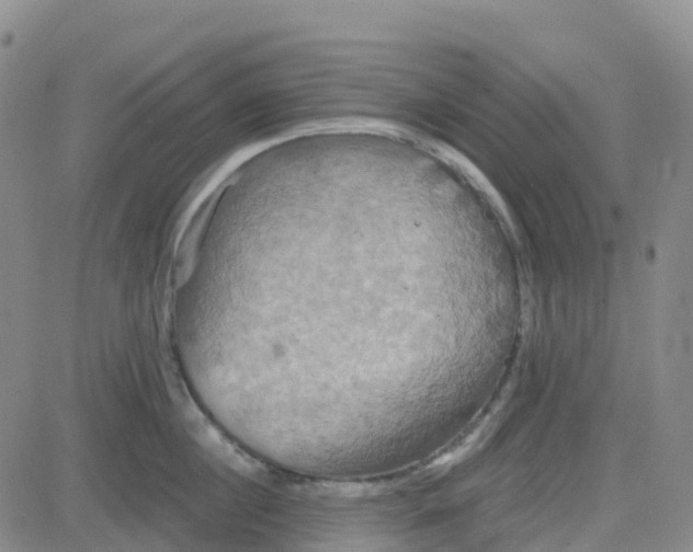 X0000084020860200703022055