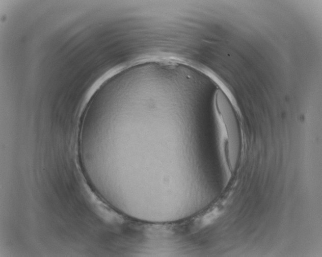 X0000084020861200703022055