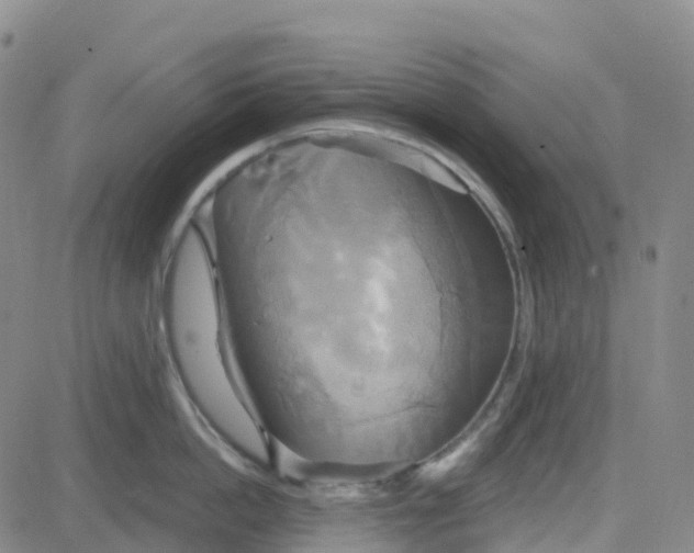 X0000084020862200703022055