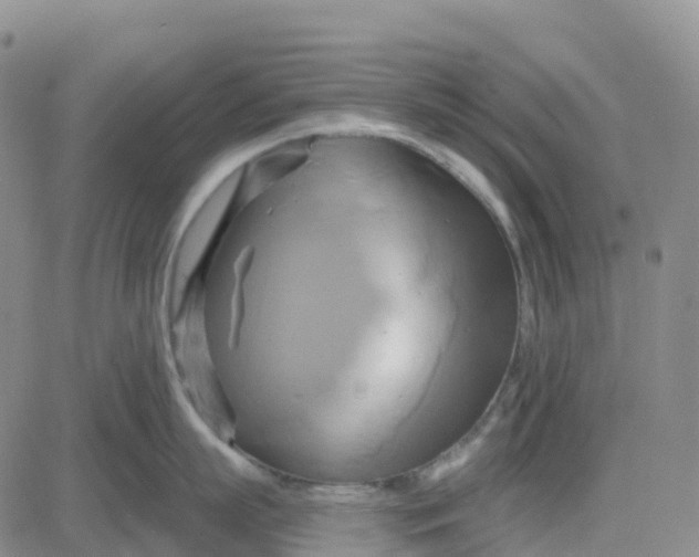 X0000084020863200703022055