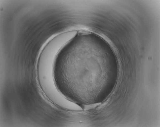 X0000084020864200703022055