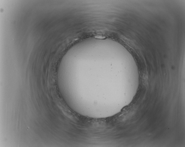 X0000084020865200703022054